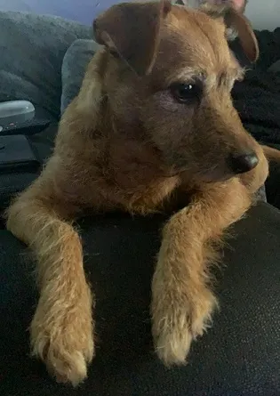 Mika Relaxing.jpg