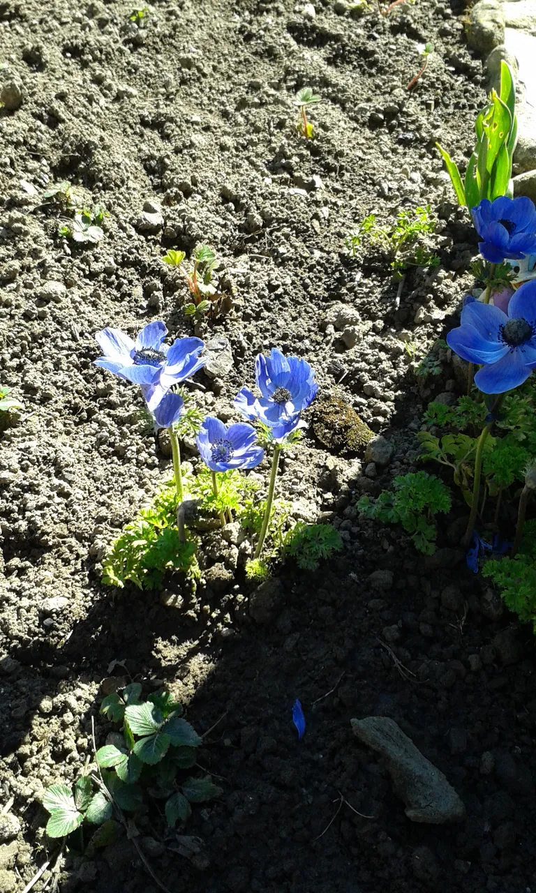 20150330_173437.jpg