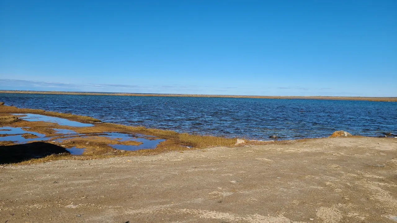 20200905_144942.jpg