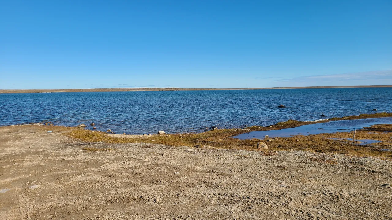 20200905_144927.jpg