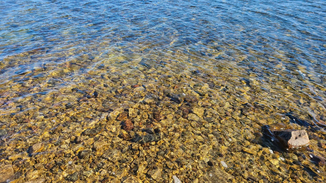 20200905_150308.jpg