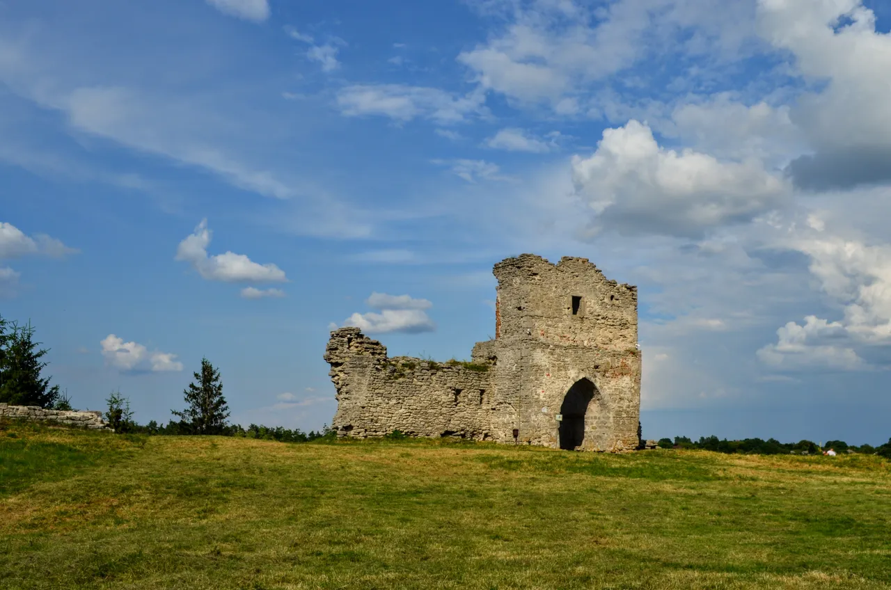 DSC_0806.jpg