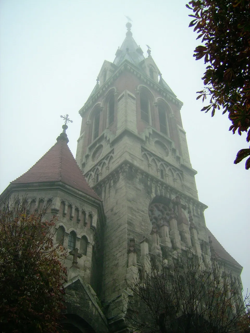 DSCI0334.jpg