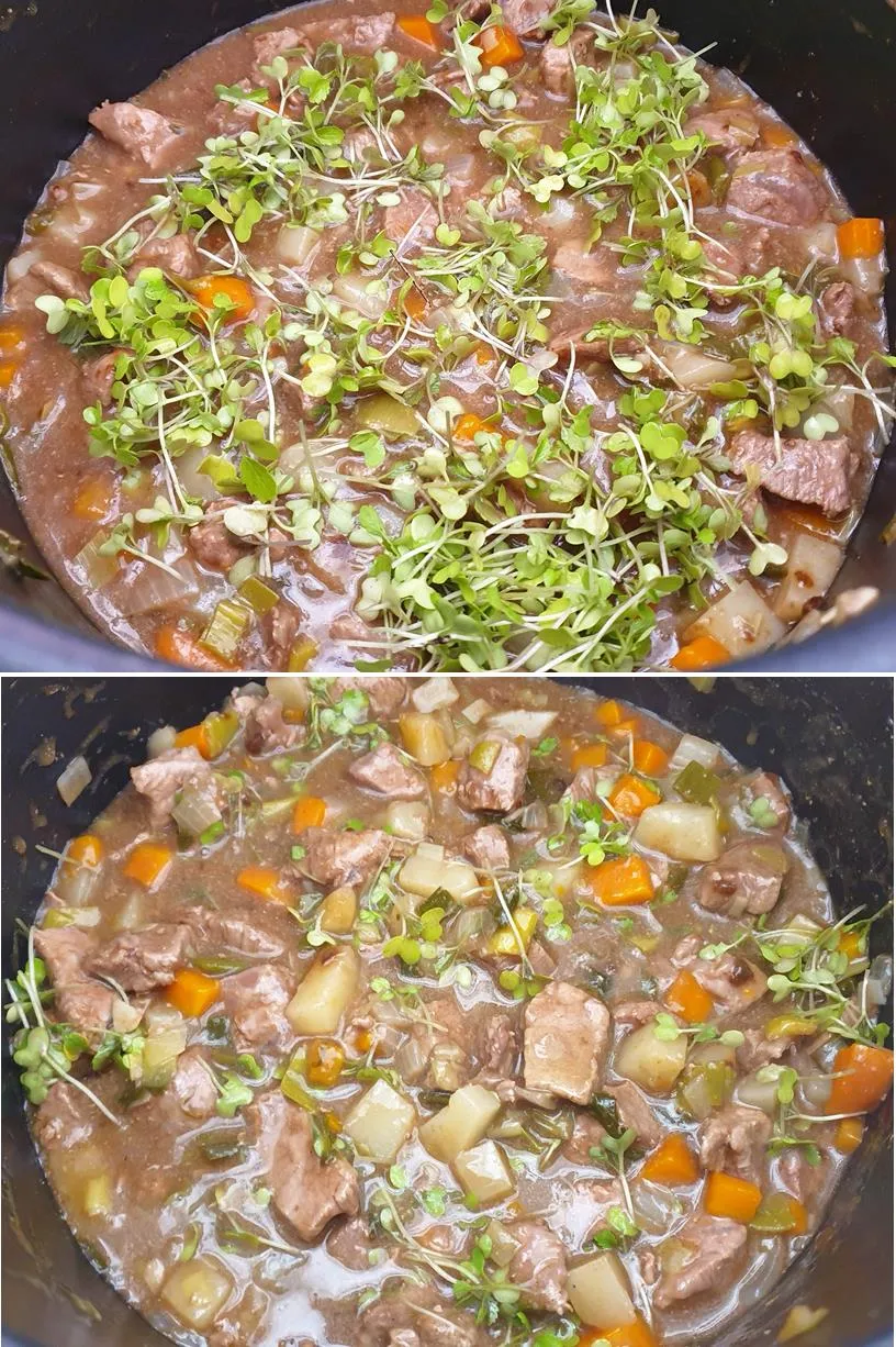 Pie filling 2.jpg