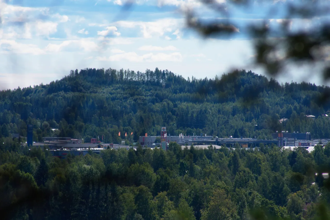DSC_0604.jpg