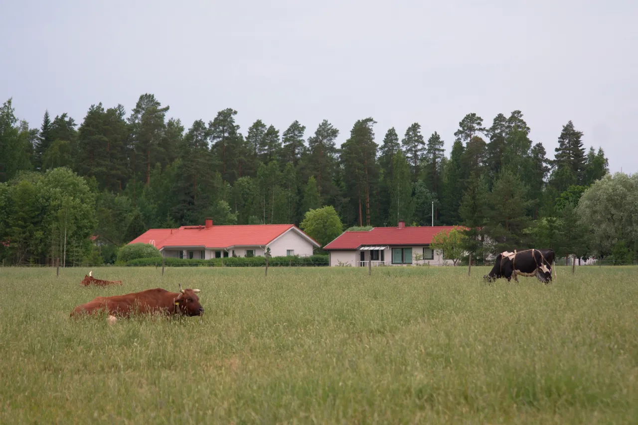 DSC_0560.jpg
