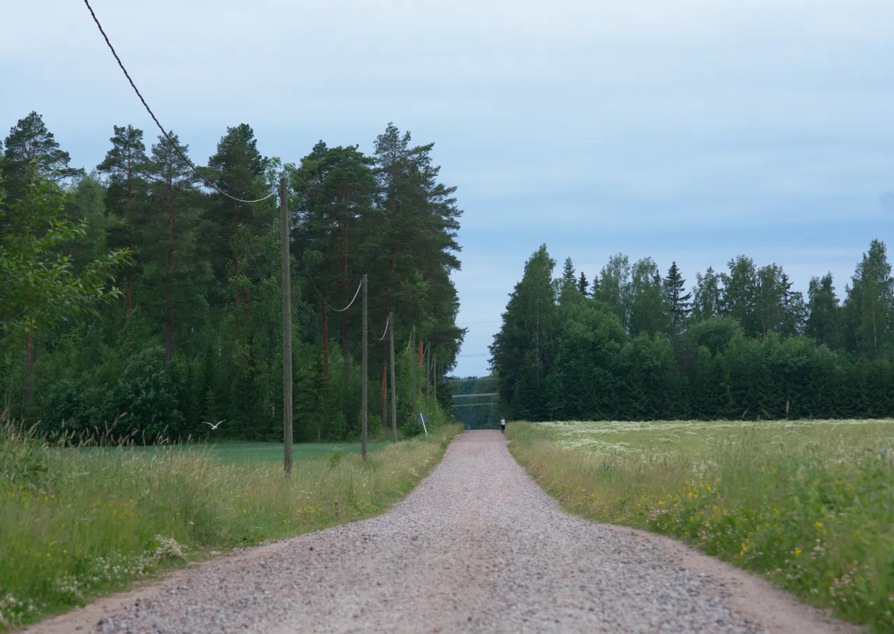 DSC_0579.jpg
