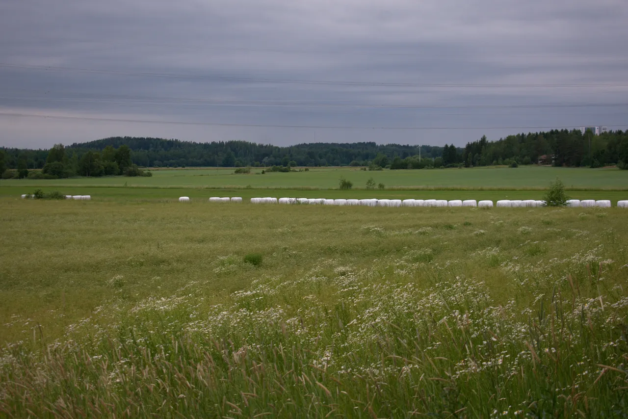 DSC_0611.jpg