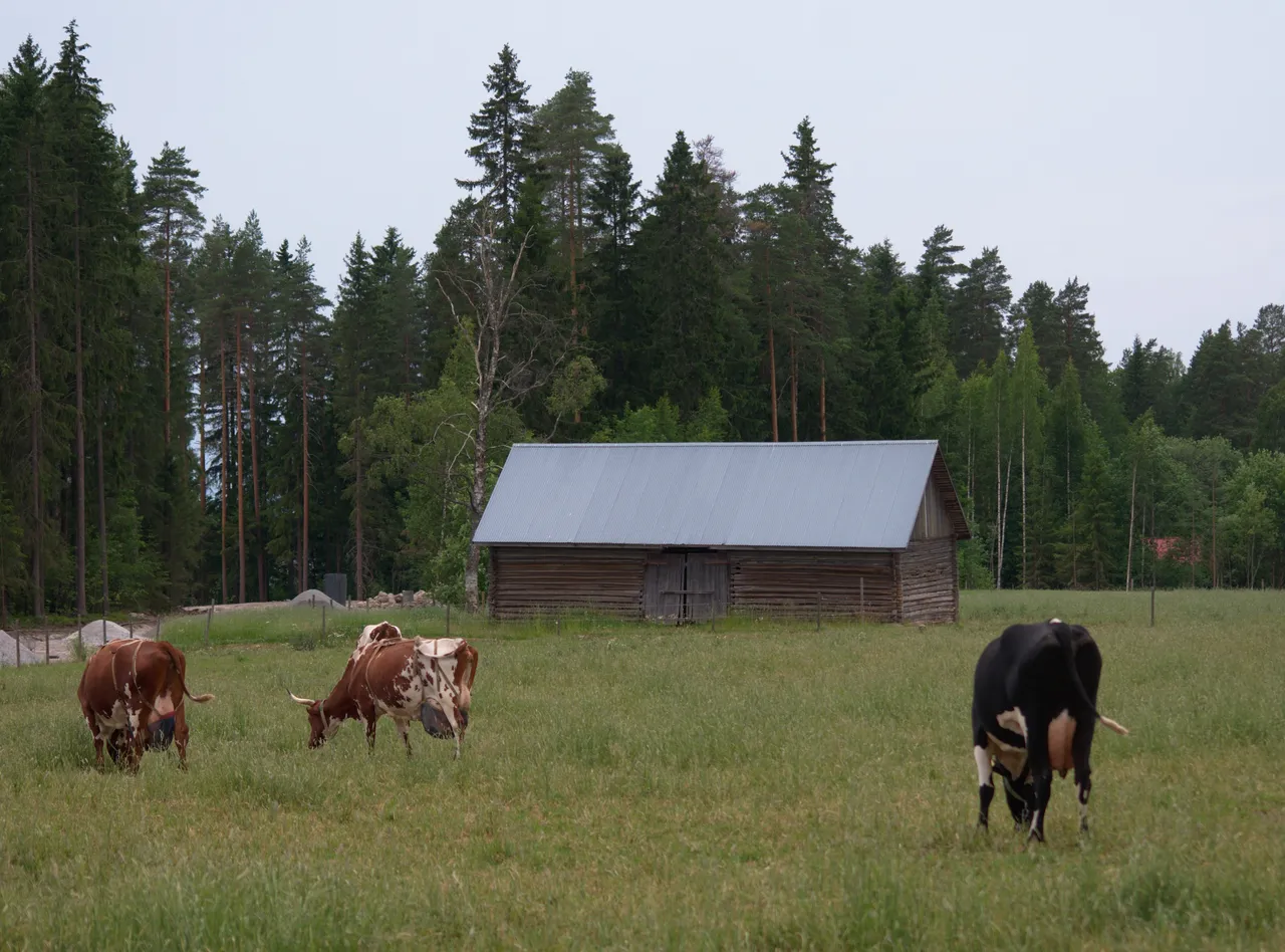 DSC_0578.jpg