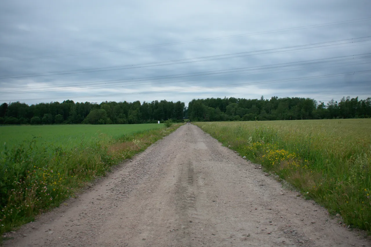 DSC_0612.jpg