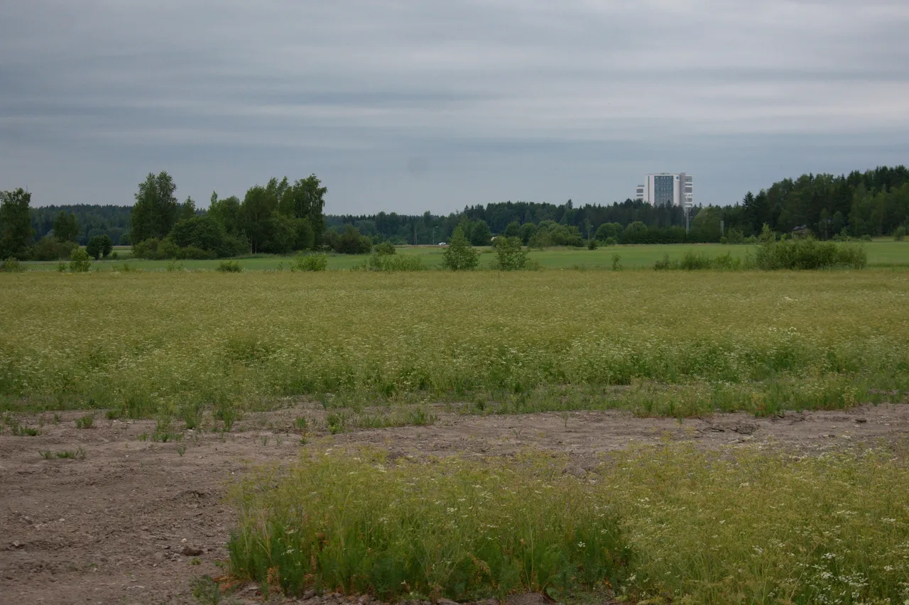 DSC_0613.jpg