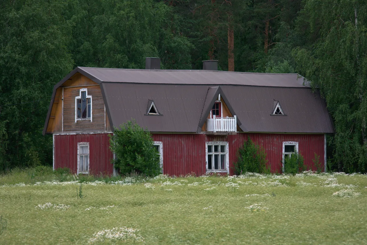 DSC_0608.jpg