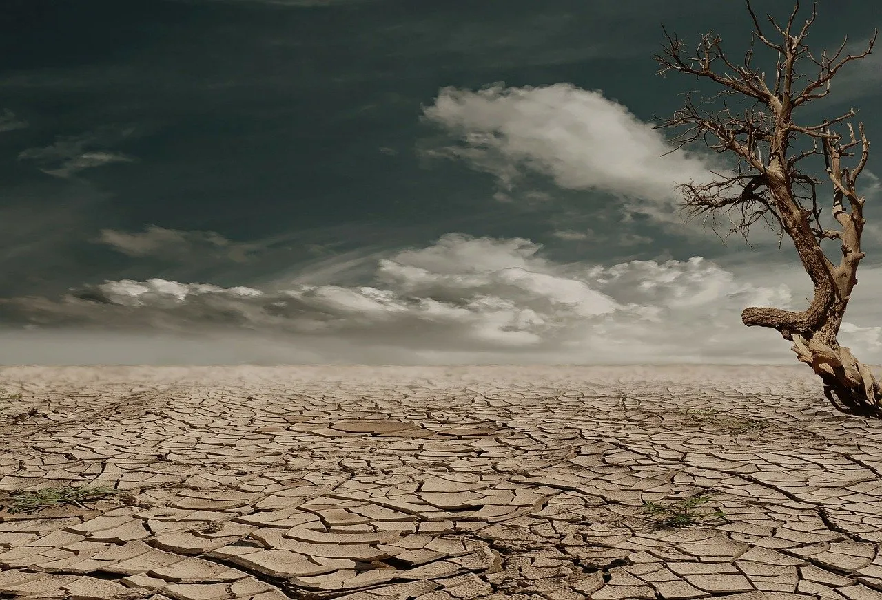 desert279862_1280.jpg
