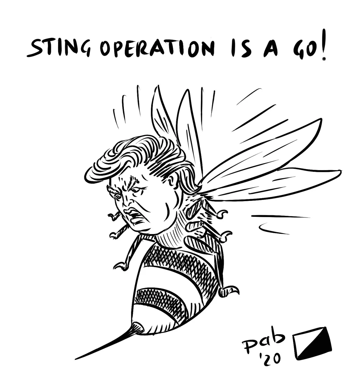 sting_operation.jpg