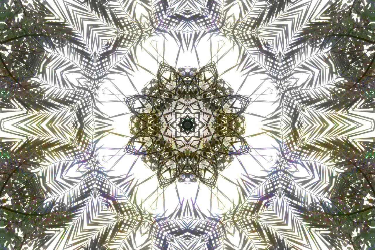 0014_A.jpg