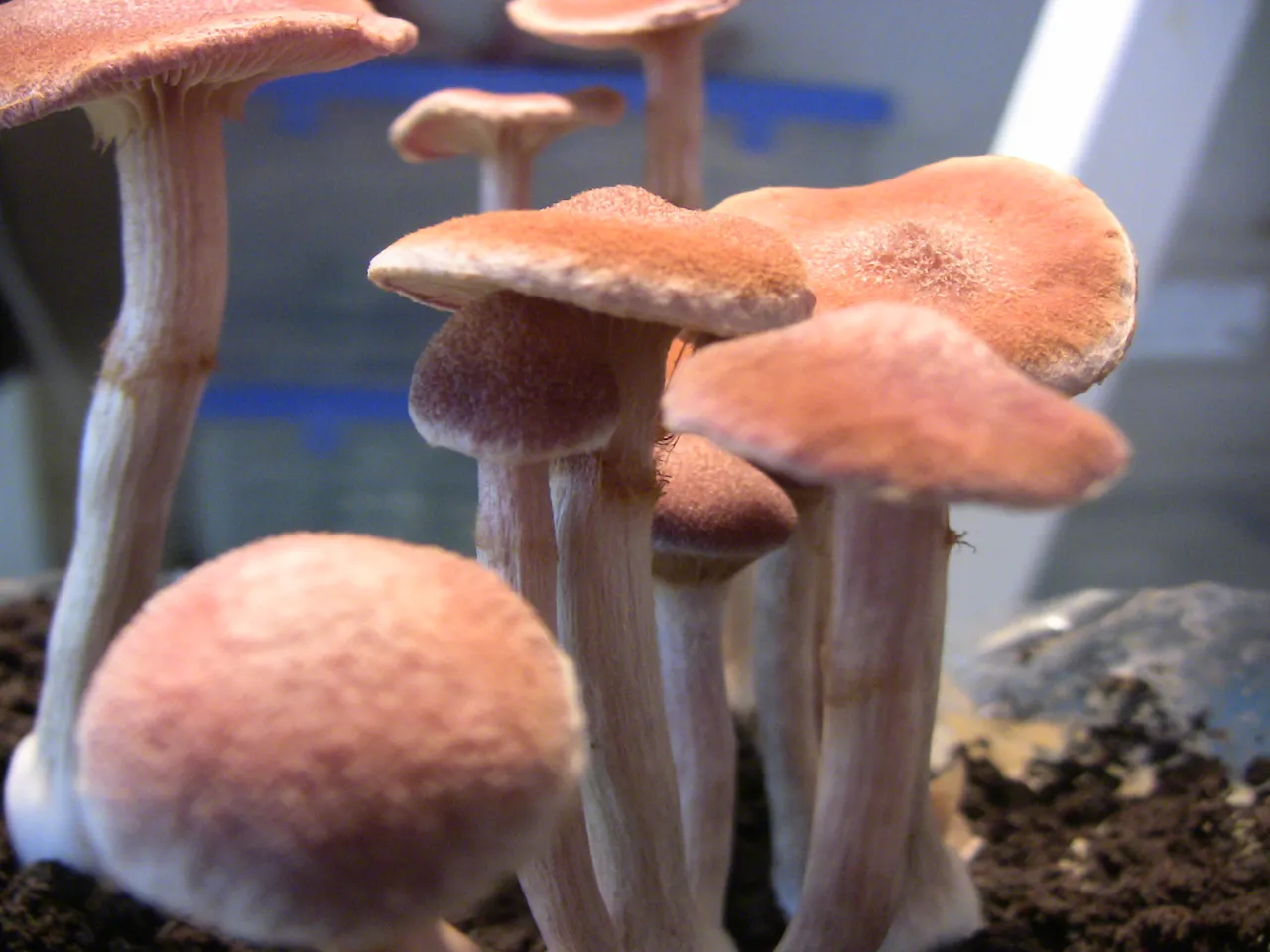 2012.01.28 21.JPG