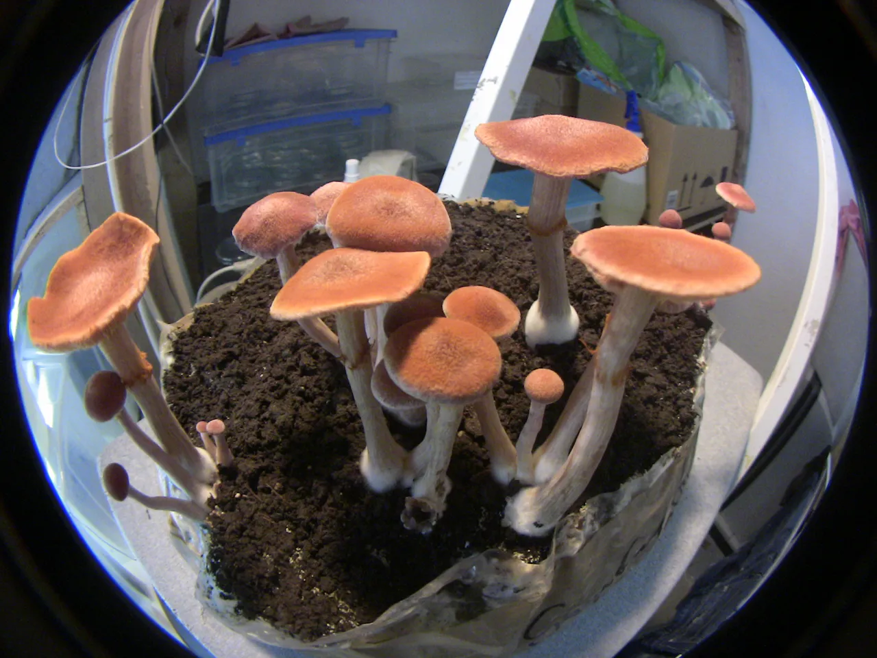 2012.01.28 18.JPG