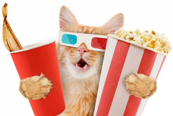 catcinema.jpg