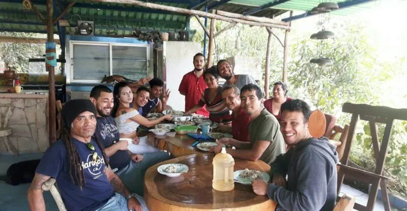 foto6hive.jpg