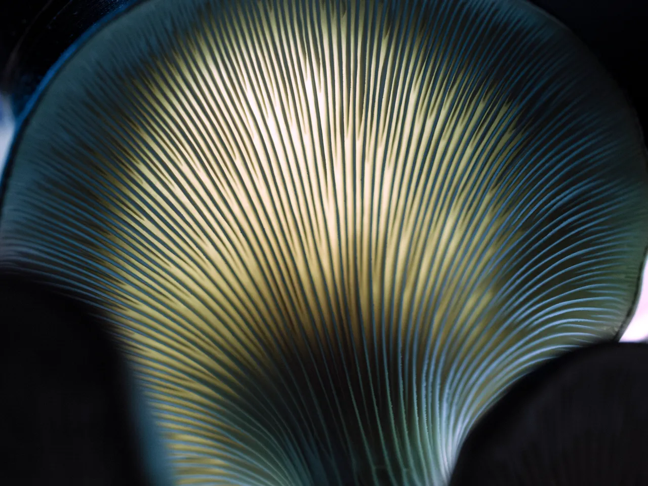PC079100.jpg