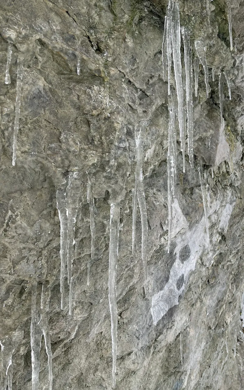 IMG2089.jpg