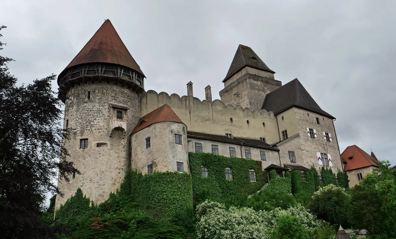 P1000810.jpg