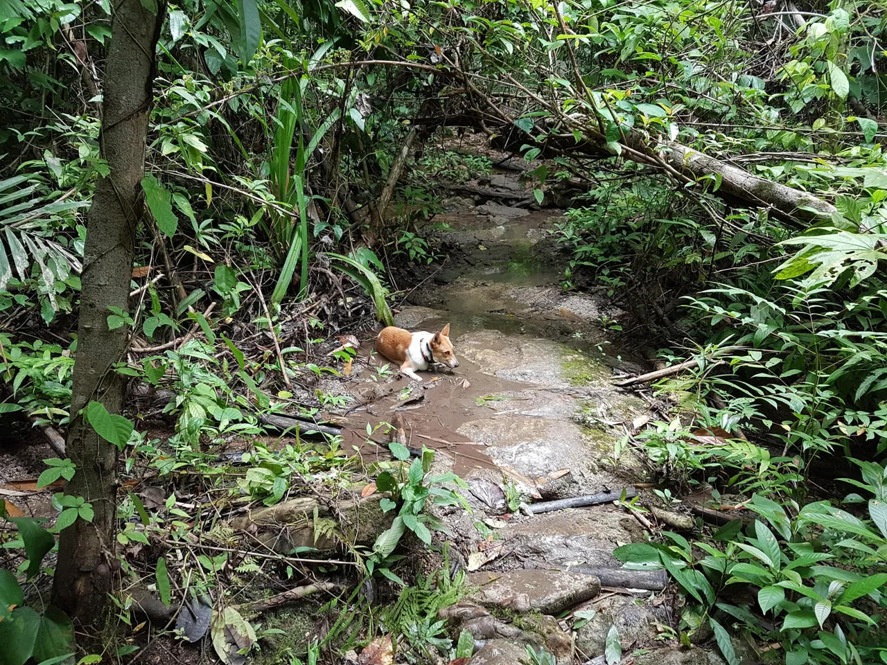 20190727_155154.jpg