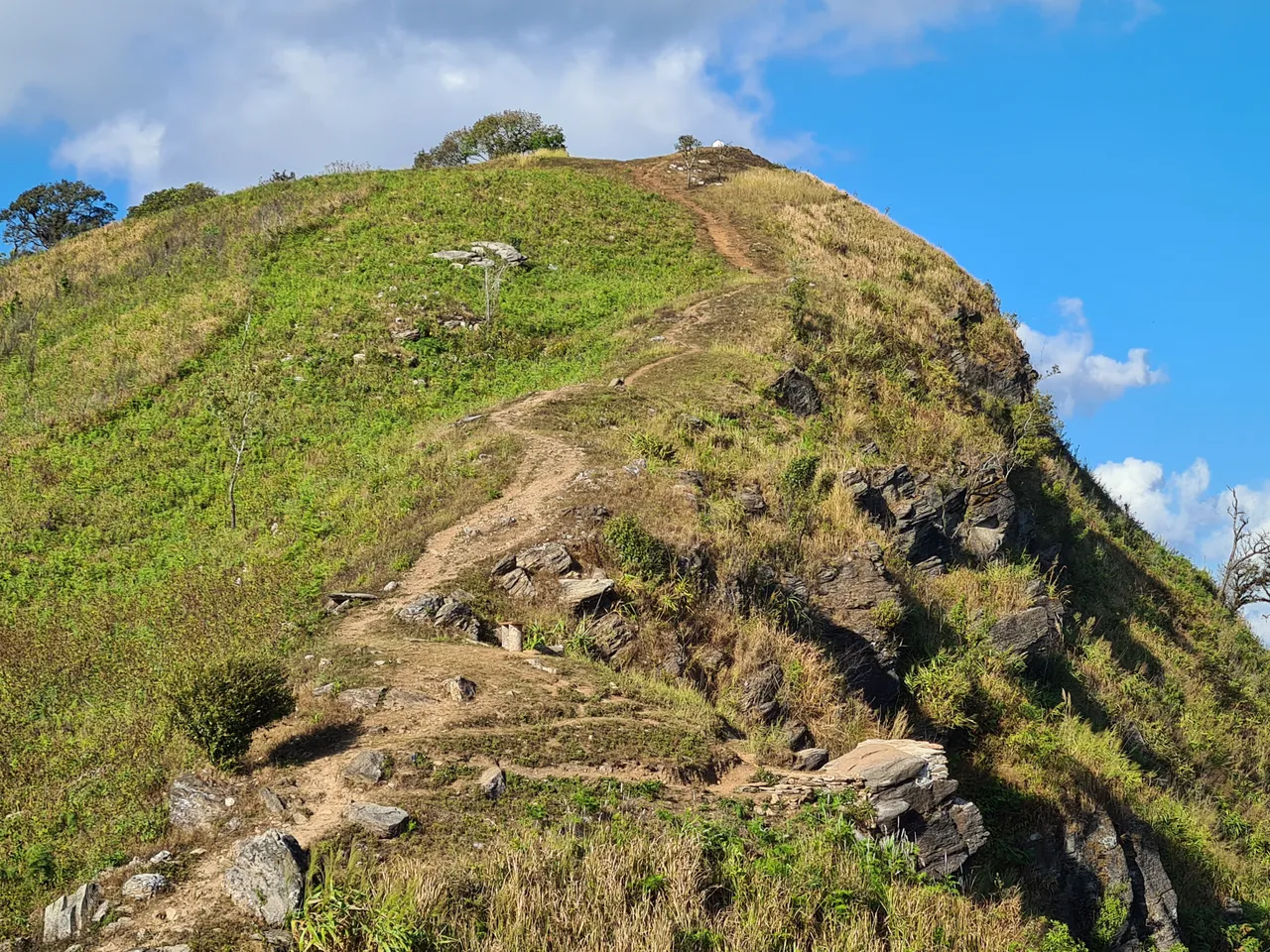 20201227_153143.jpg