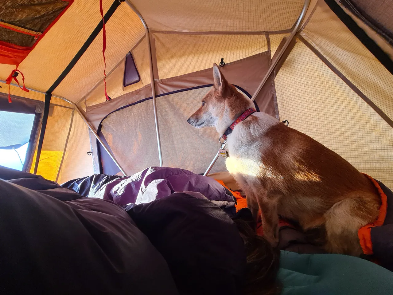 20201230_071736.jpg