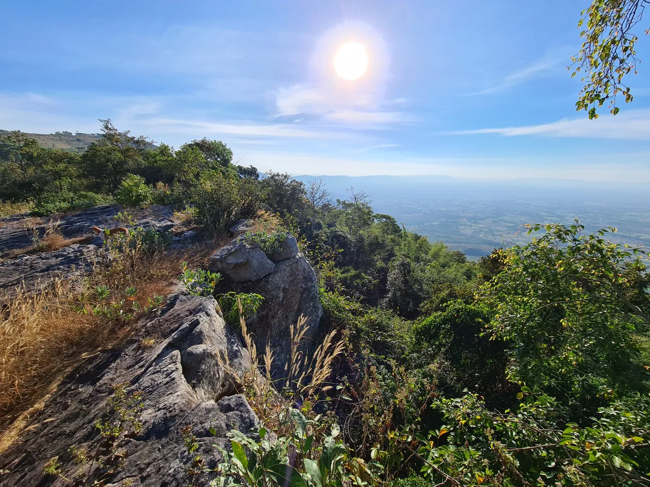 20201219_160854.jpg