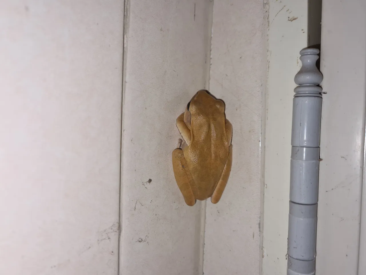 20201219_184902.jpg