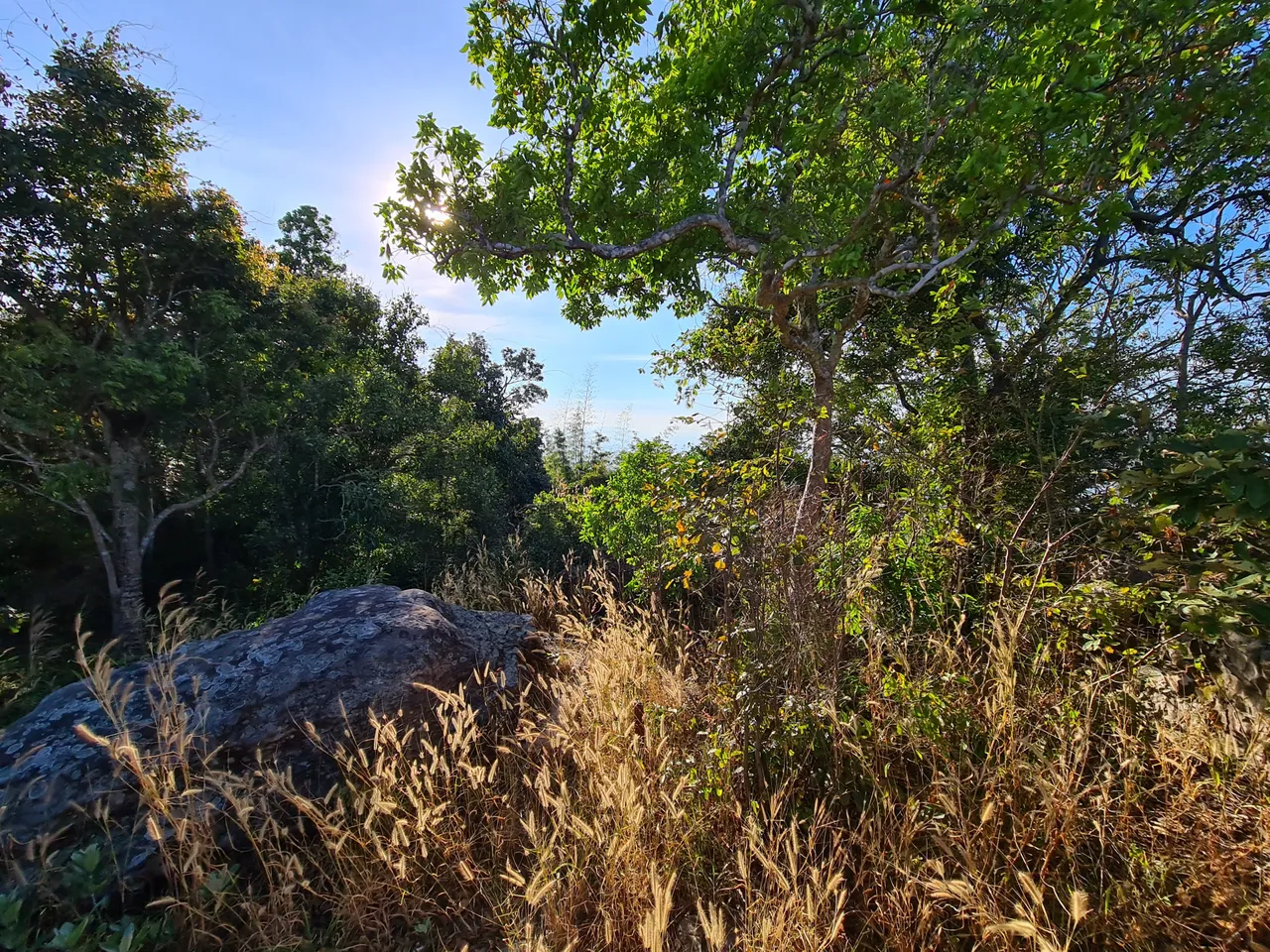20201219_160656.jpg