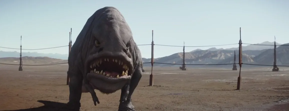 animal.jpg