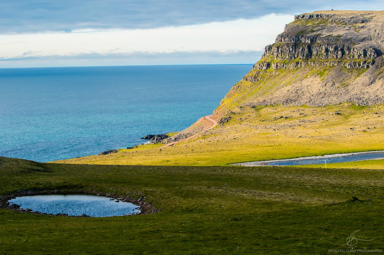 DSC_0105.jpg