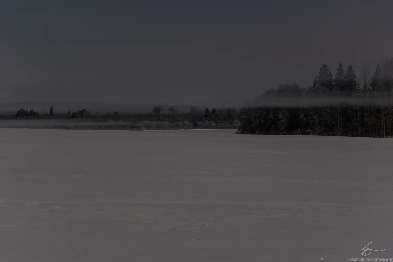 DSC_0498.jpg