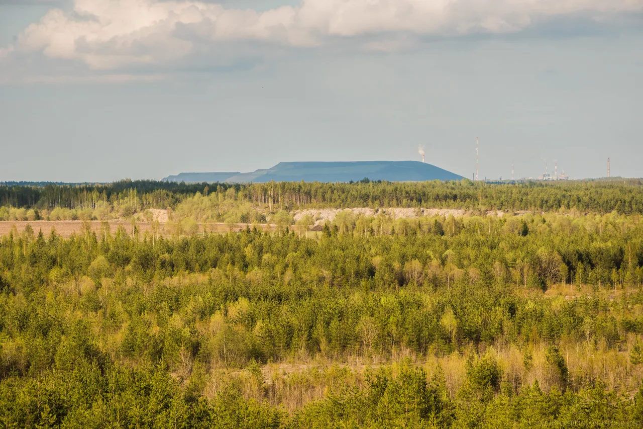 DSC_0414.jpg