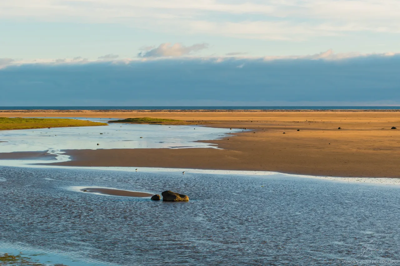 DSC_0117.jpg