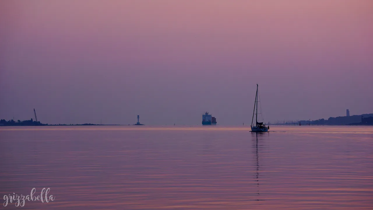 _DSC7737.jpg