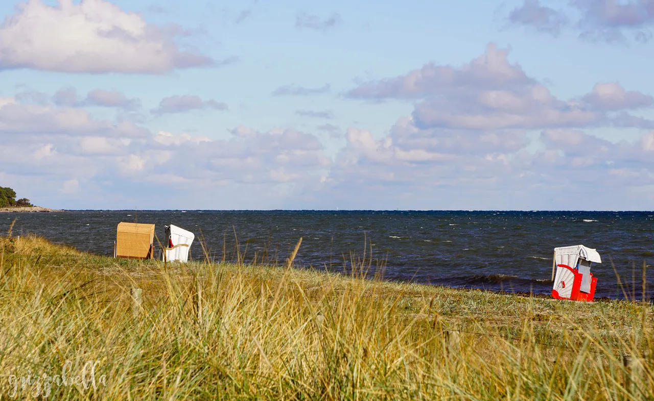 _DSC9711.jpg