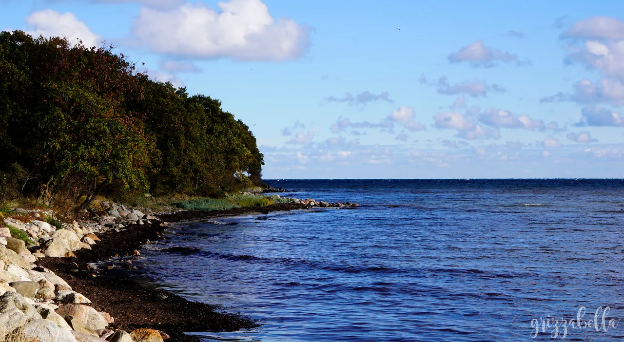 _DSC9813.jpg