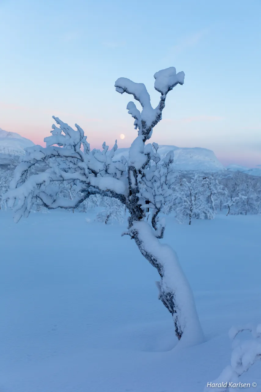 Veggfjellet2.jpg