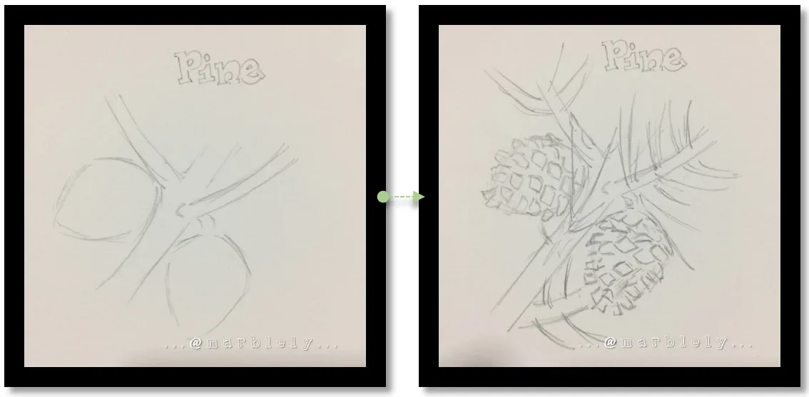 sketchpine.jpg