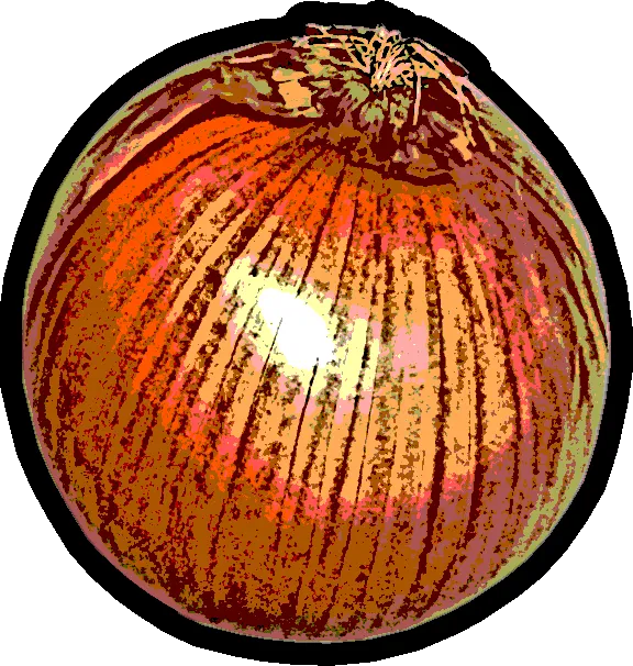 onion.png
