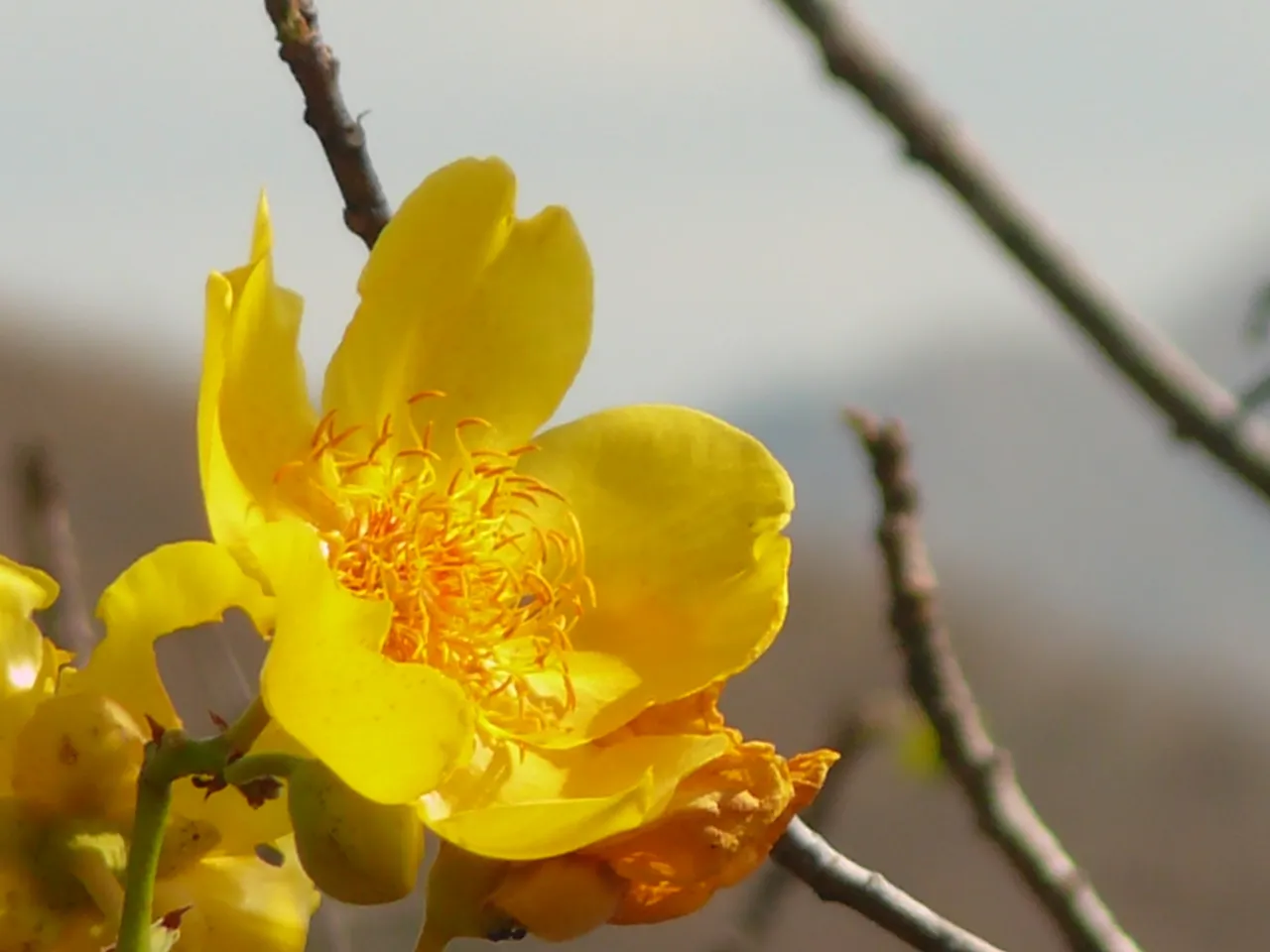 P1920527.JPG