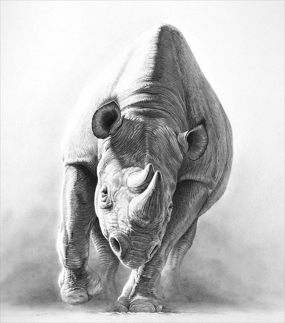 "Image by Gary Hodges, taken from http://pinterest.com"