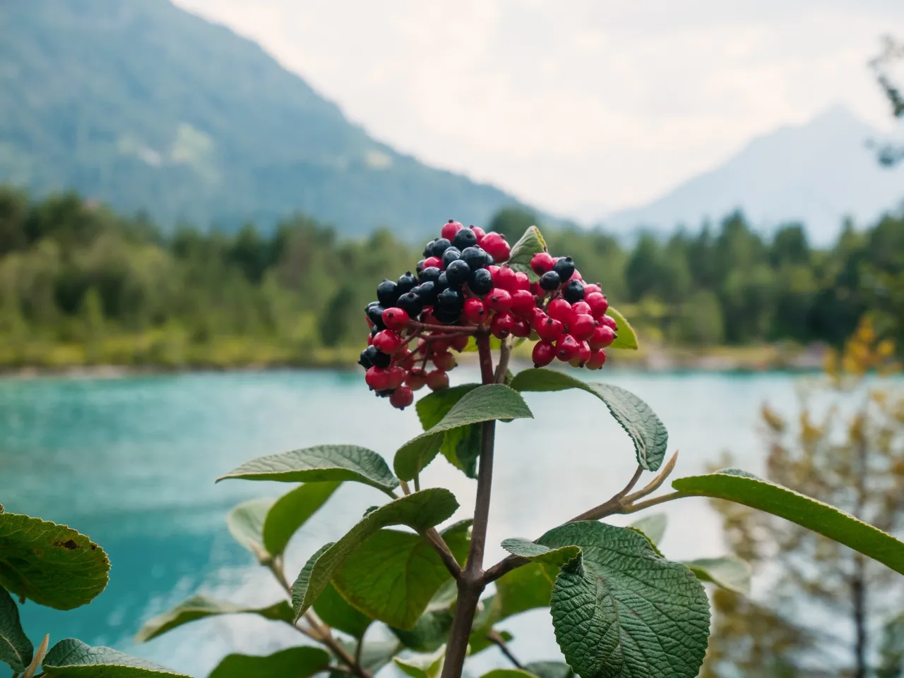 Lake in Bavaria