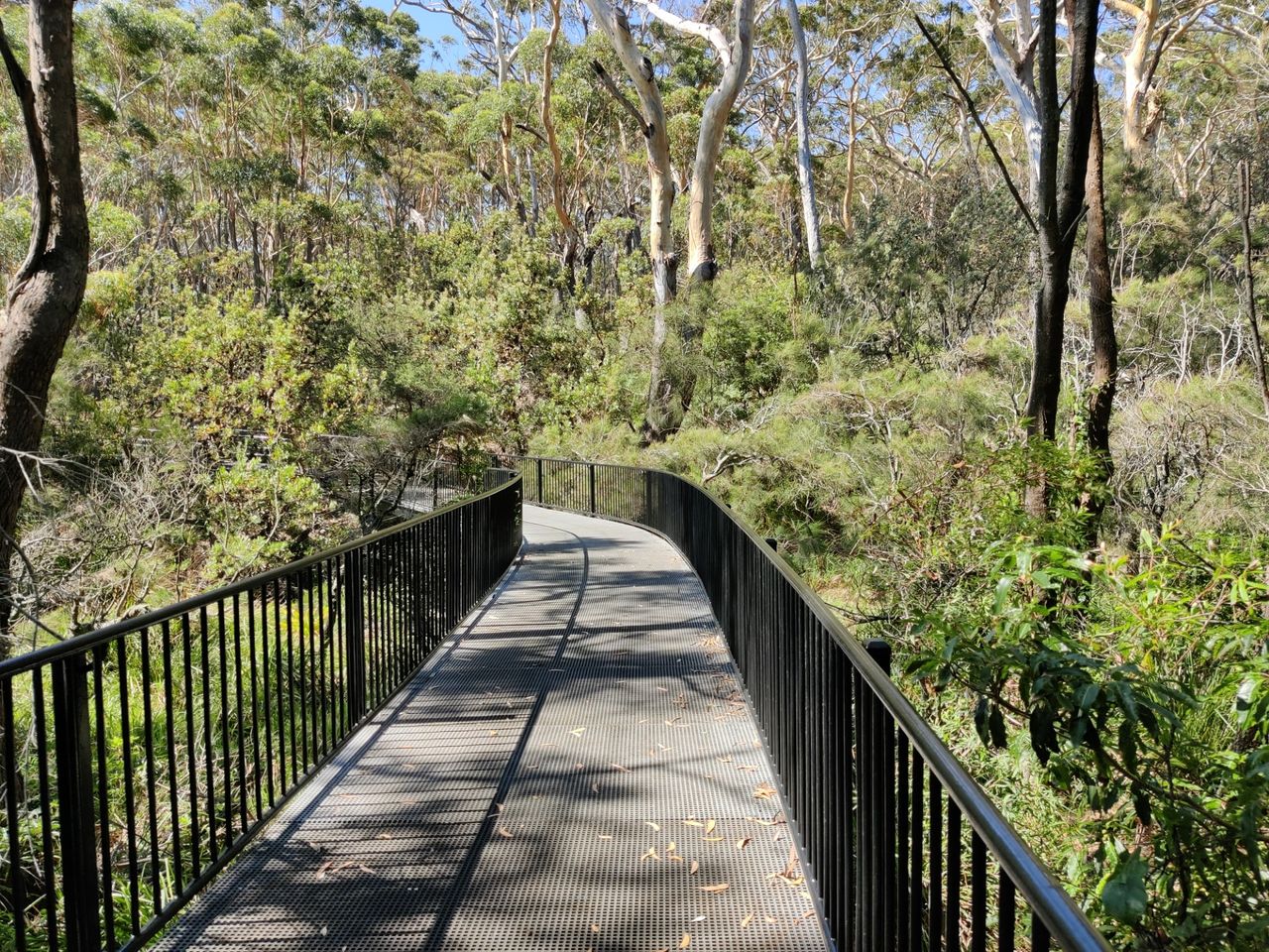 White Sands Walk: Jervis Bay, AUSTRALIA.jpg