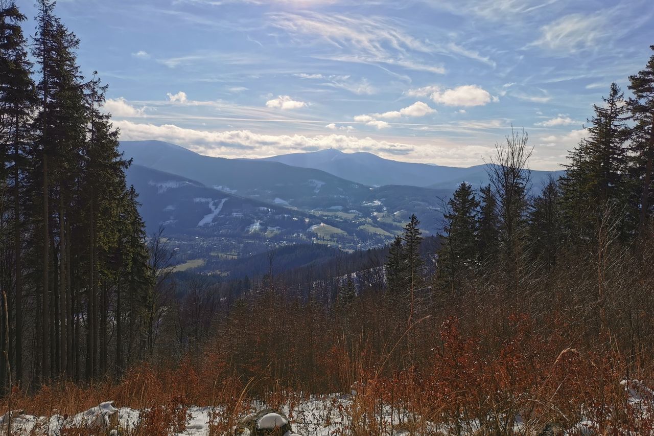 View of Lysá hora in the distance.