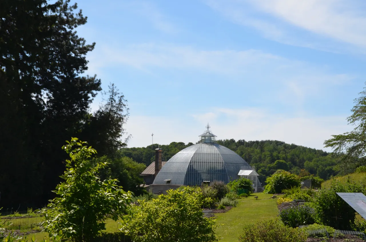 Bergianska trädgården