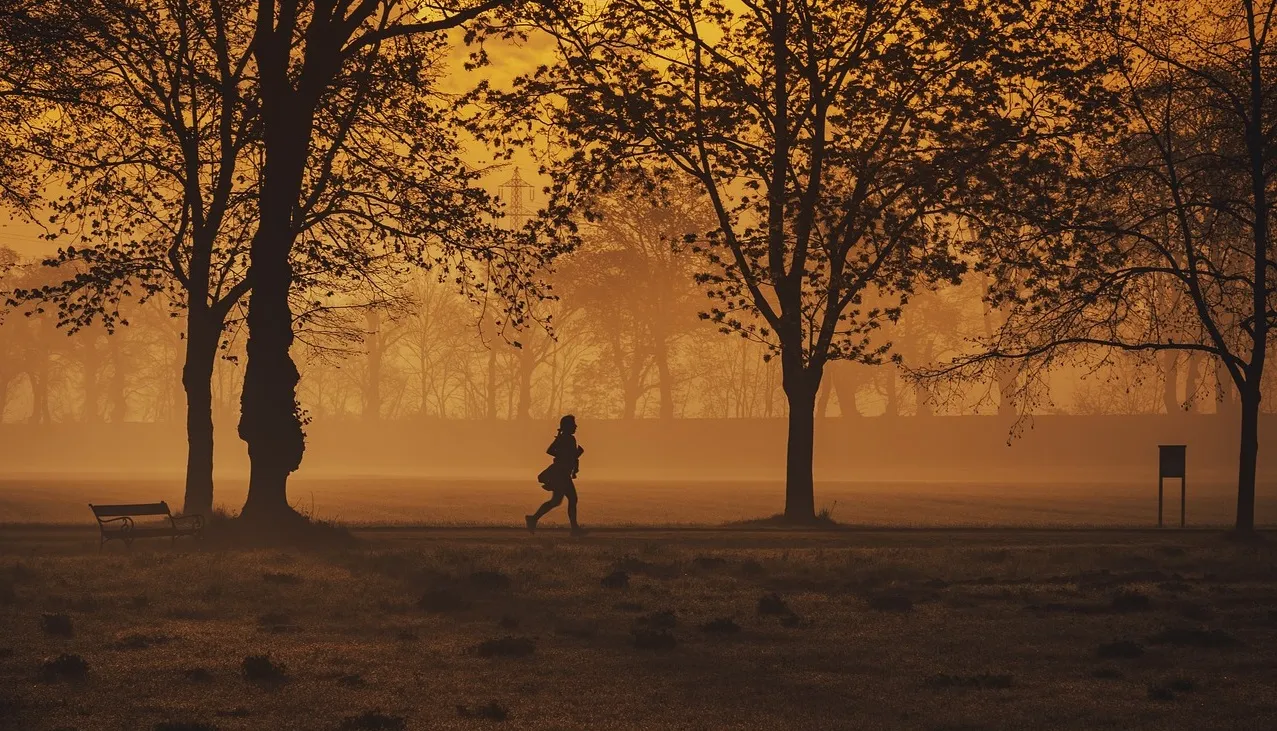 Jogger in a park